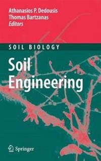 Soil Engineering [Elektronisk resurs]; Athanasios P Dedousis, Thomas Bartzanas; 2010