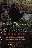 Som en bro- : att möta och förstå förvärvad hjärnskada; Stellan Sjödén; 1998