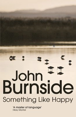 Something like happy : pocket; John Burnside; 2014