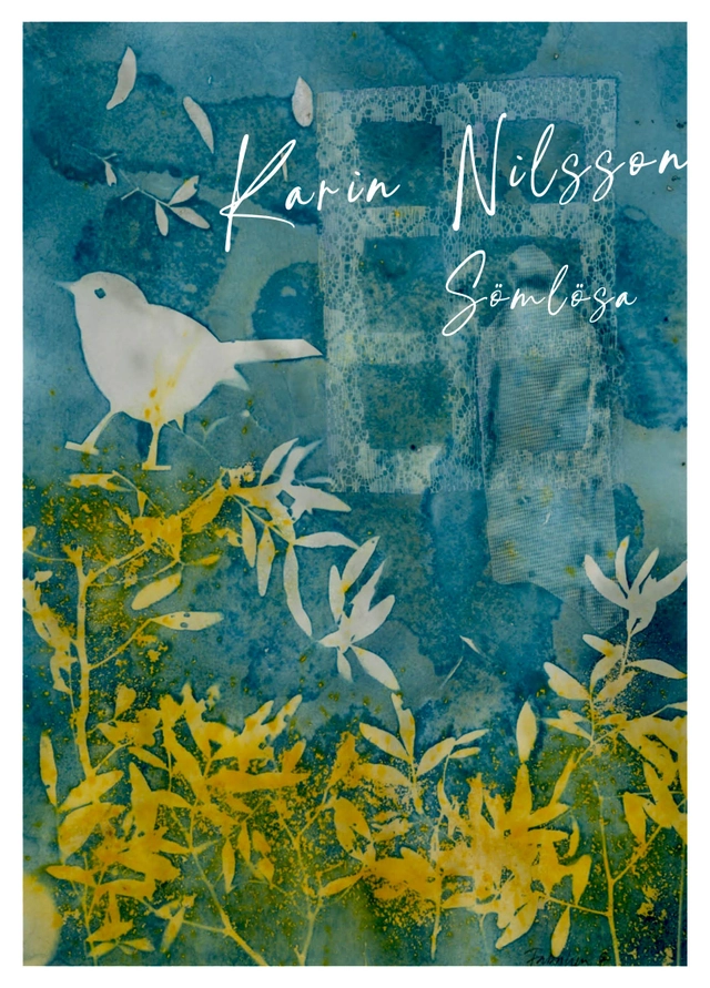Sömlösa; Karin Nilsson; 2025