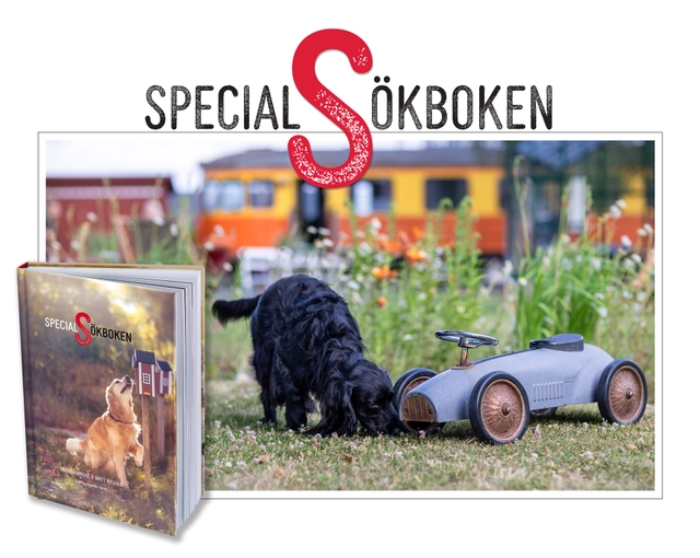 Specialsökboken; Helena Lindhe, Britt Nylund; 2021