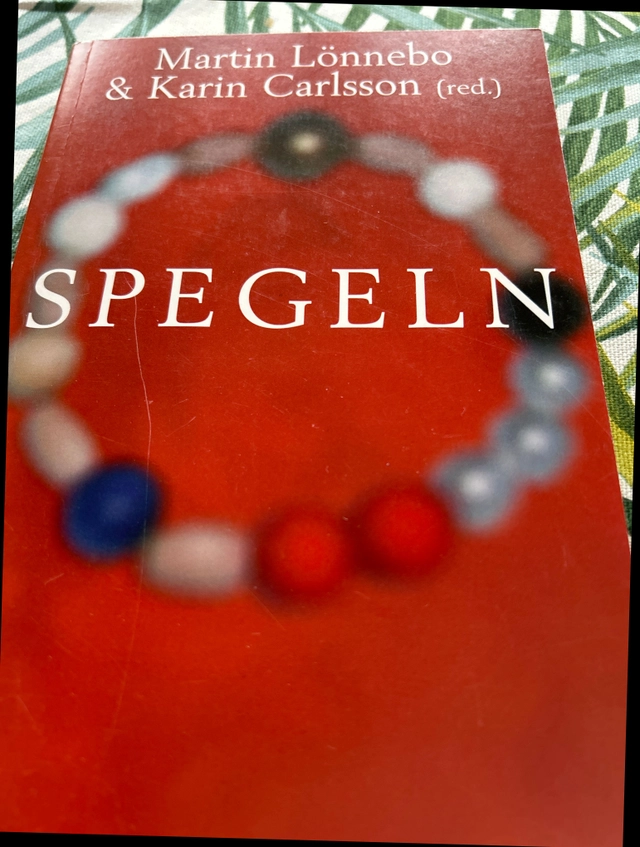 Spegeln : handledning i församlingsarbete med inspiration från Frälsarkransen; Karin Carlsson, Martin Lönnebo; 2001