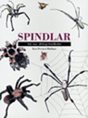 Spindlar; Ken Preston-Mafham; 1999