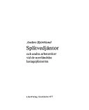 Splitvedjäntor och andra arbeterskor vid de norrländska lastageplatserna; Anders Björklund; 1977
