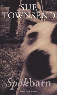 Spökbarn; Sue Townsend; 1999
