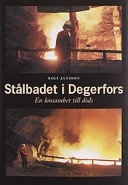 Stålbadet i Degerfors : en lönsamhet till döds; journalist Rolf Jansson; 2002
