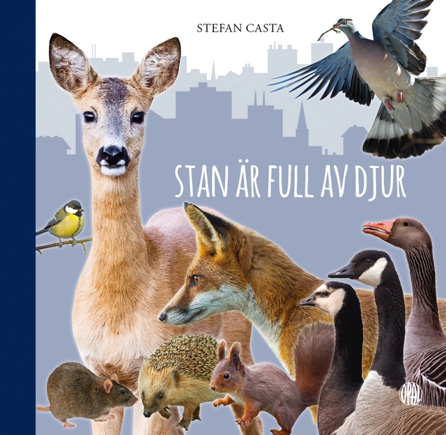 Stan är full av djur; Stefan Casta; 2016
