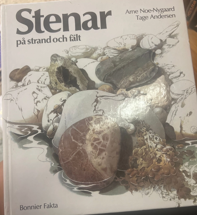 Stenar på strand och fält; Arne Noe-Nygaard; 1983