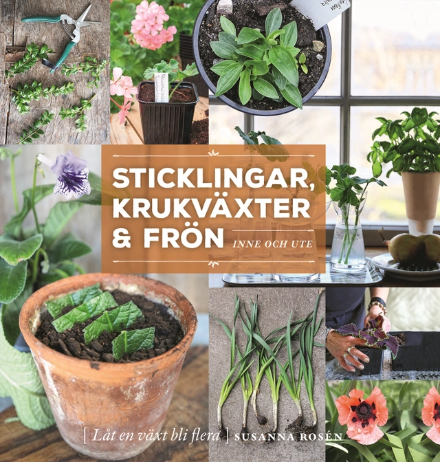 Sticklingar, krukväxter & frön : inne och ute; Susanna Rosén; 2023