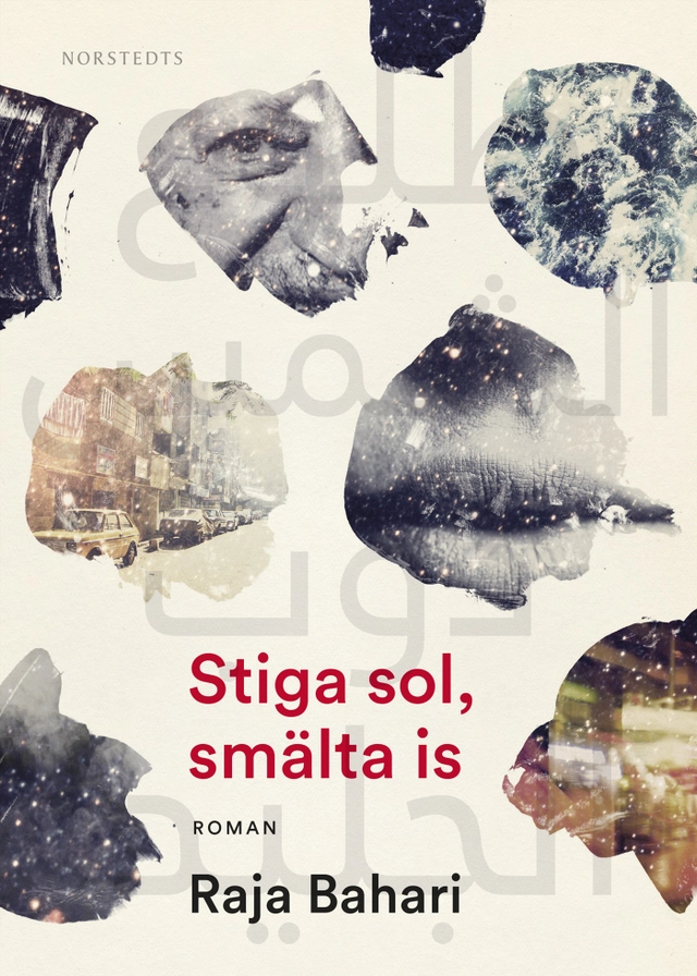 Stiga sol, smälta is; Raja Bahari; 2017