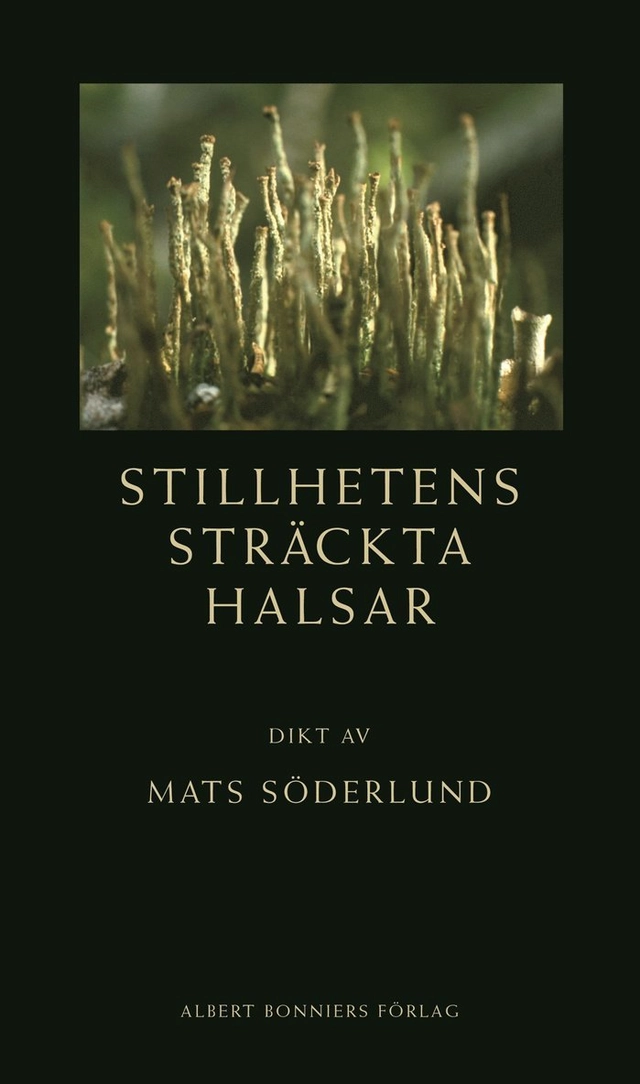 Stillhetens sträckta halsar; Mats Söderlund; 2002