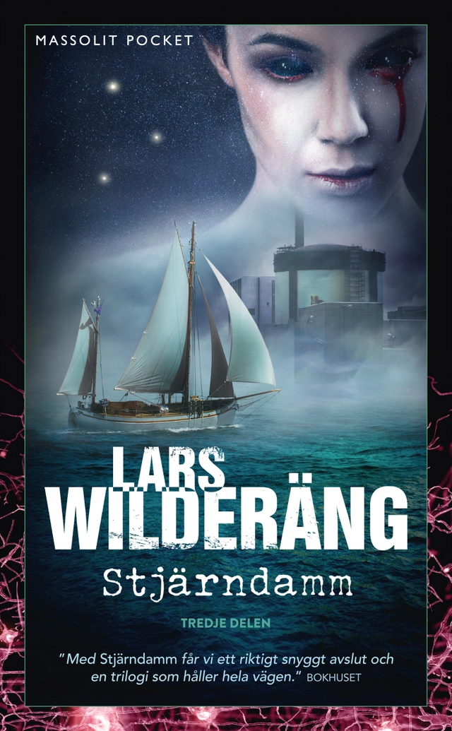 Stjärndamm; Lars Wilderäng; 2017