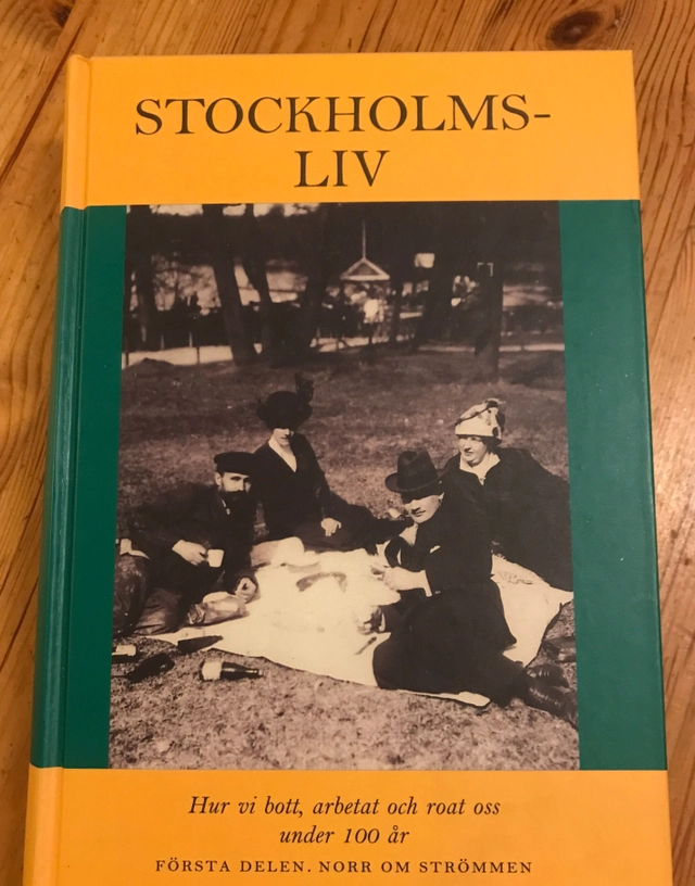 Stockholmsliv : hur vi bott, arbetat och roat oss under 100 år. Bd 1, Norr om Strömmen; Staffan Tjerneld; 1996