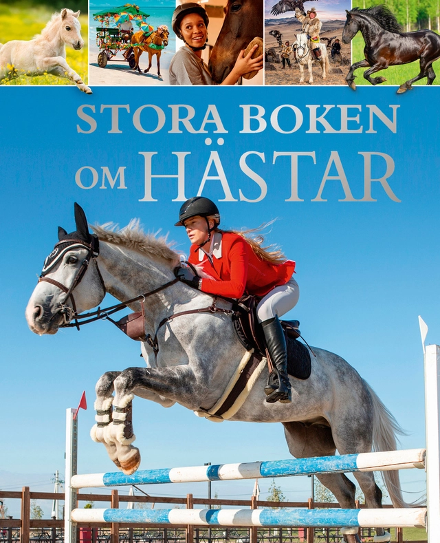 Stora boken om Hästar; Claudia Martin, Birgitta Melén, Karin Sjöbeck; 2025