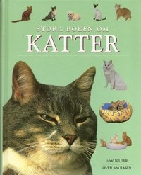 Stora boken om Katter : [1000 bilder : över 300 raser]; Michael Pollard; 2004