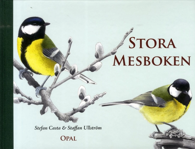 Stora mesboken; Stefan Casta; 2013
