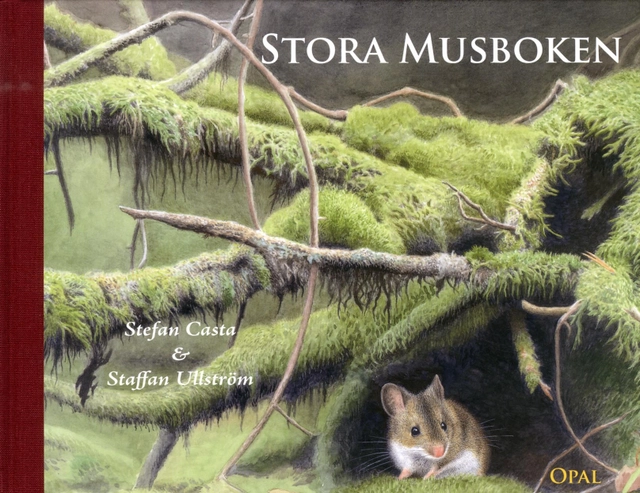 Stora musboken; Stefan Casta; 2013