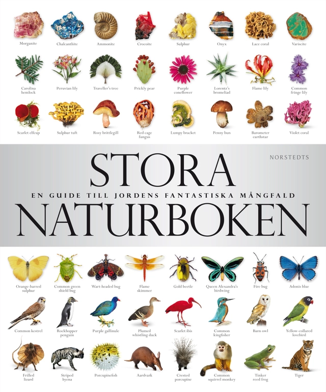 Stora naturboken : en guide till jordens fantastiska mångfald; David Burnie; 2011