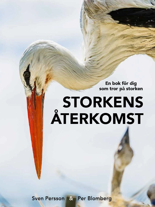 Storkens återkomst : en bok för dig som tror på storken; Per Blomberg; 2017