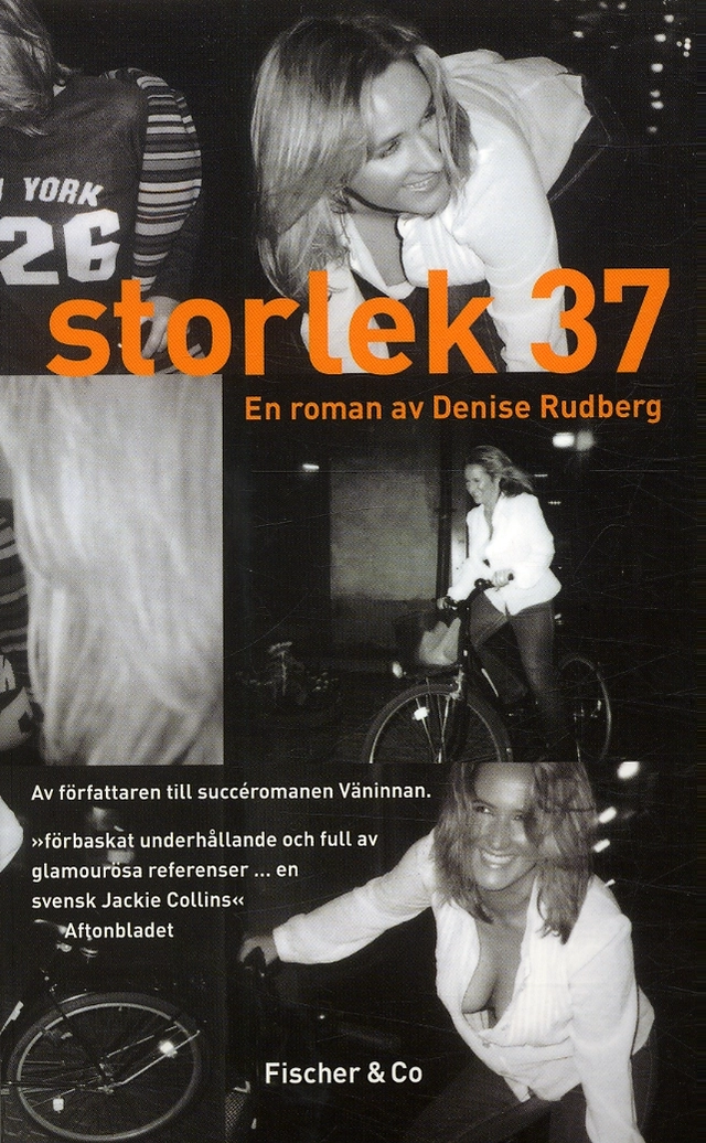 Storlek 37 : en roman; Denise Rudberg; 2004
