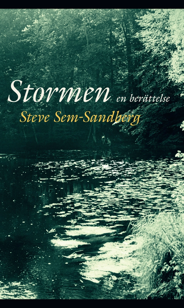 Stormen : en berättelse; Steve Sem-Sandberg; 2017