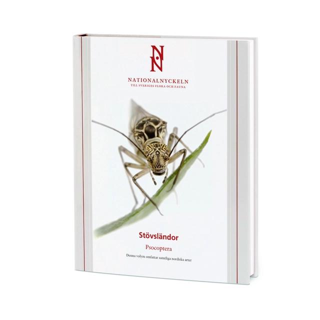 Stövsländor. Psocoptera; Bo W Svensson; 2010