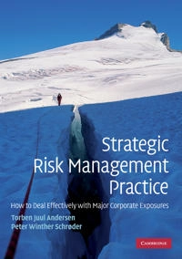 Strategic risk management practice : how to deal effectively with major corporate exposures; Torben Juul Andersen; 2010