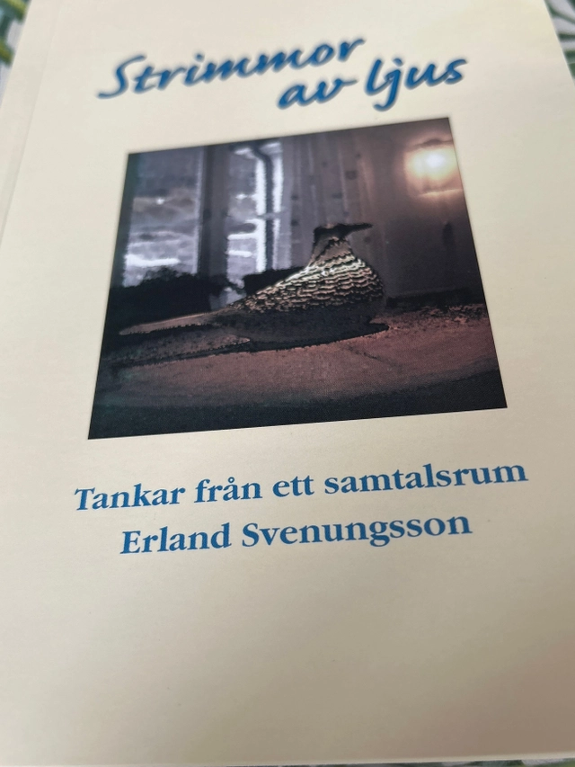 Strimmor av ljus : tankar från ett samtalsrum; Erland Svenungsson; 1998