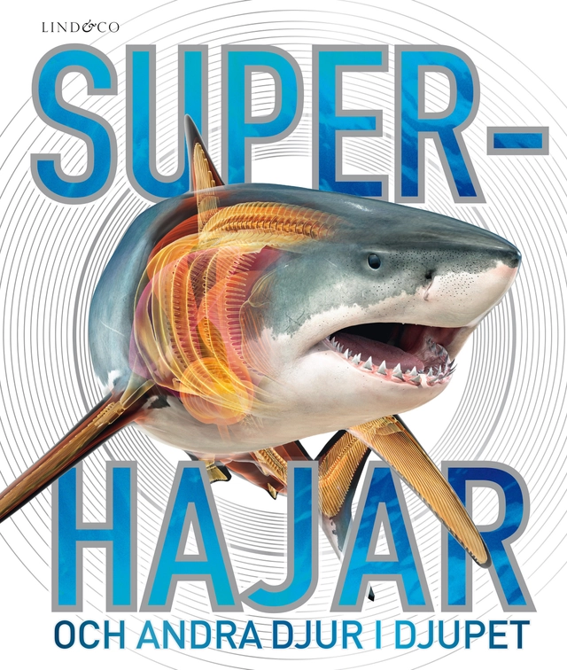Superhajar : och andra djur i djupet; Derek Harvey; 2023