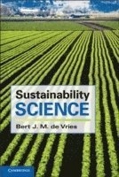 Sustainability science; Vries; 2013
