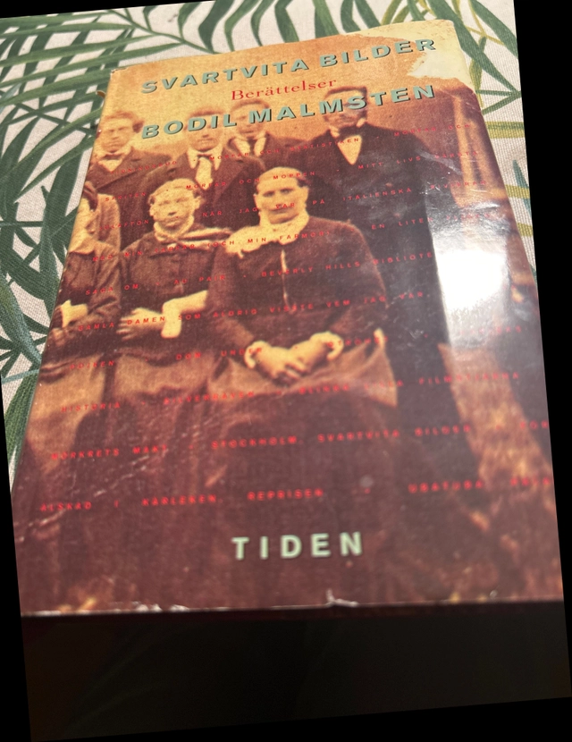 Svartvita bilder; Bodil Malmsten; 1988