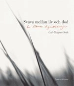 Sväva mellan liv och död : en läkares daganteckningar; C M Stolt; 2004