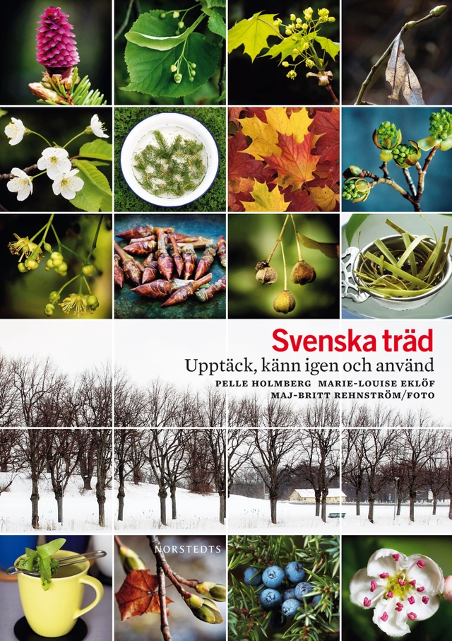 Svenska träd : upptäck, känn igen och använd; Pelle Holmberg, Marie-Louise Eklöf; 2010