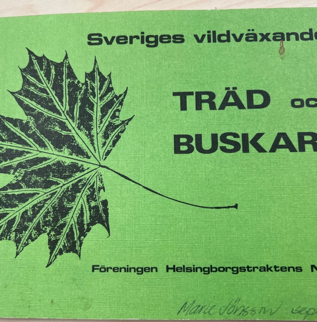 Sveriges vildväxande träd och buskar; Marie Ellmer; 1981