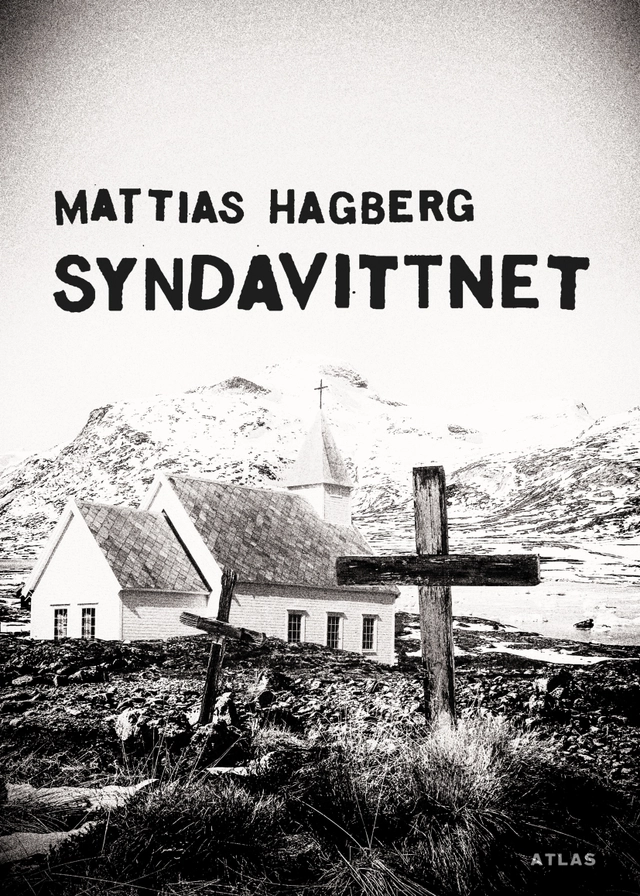 Syndavittnet; Mattias Hagberg; 2017