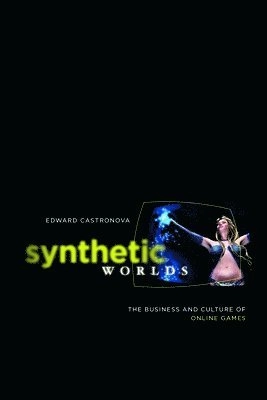 Synthetic worlds : the business and culture of online games; Edward Castronova; 2005