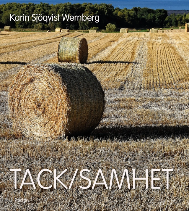 Tack/samhet; Karin Sjöqvist Wernberg; 2020