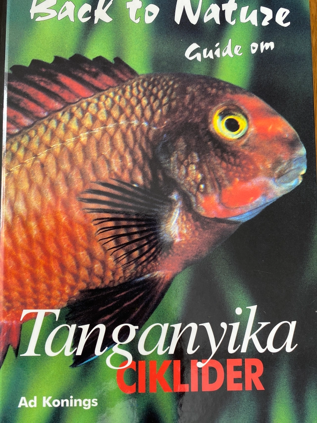 Tanganyikaciklider; Ad Konings; 1996