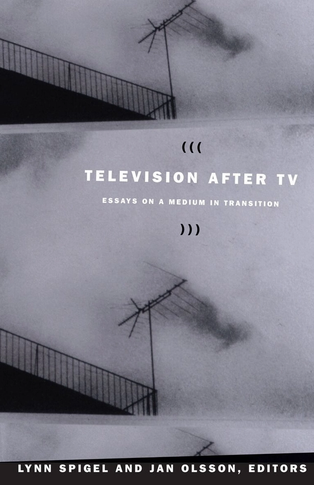Television after TV : essays on a medium in transition; Lynn Spigel, Jan Olsson; 2004