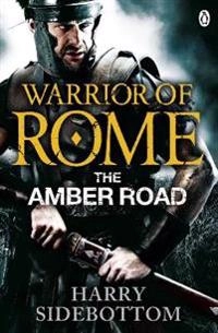The amber road : a warrior of Rome novel; Harry Sidebottom; 2013