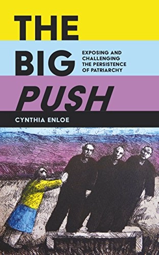 The big push : exposing and challenging the persistence of patriarchy; Cynthia H. Enloe; 2017