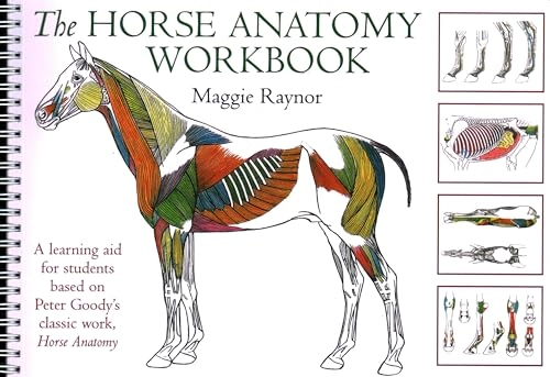 The horse anatomy workbook : a learning aid for students based on Peter Goody's classic work, Horse anatomy; Maggie. Raynor, Peter Charles. Goody; 2006