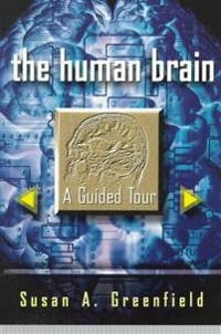 The Human Brain: A Guided Tour; Susan A Greenfield; 1998