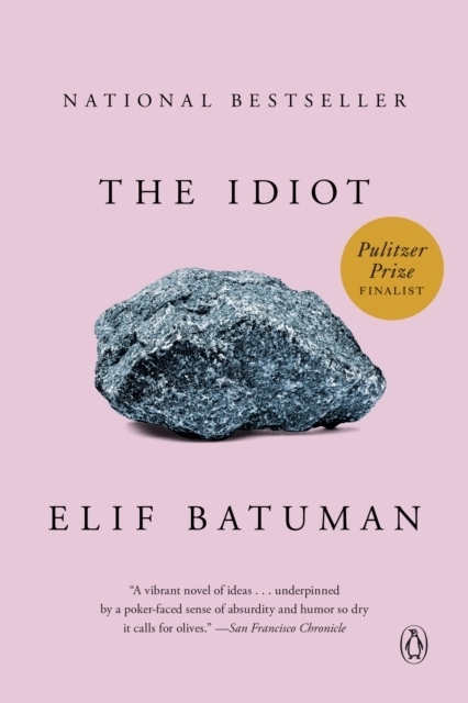The Idiot; Elif Batuman; 2018