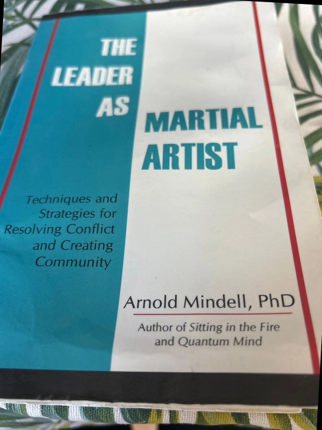 The leader as martial artist; Arnold Mindell; 2000