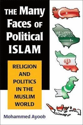 The many faces of political Islam : religion and politics in the Muslim world; Mohammed Ayoob; 2008