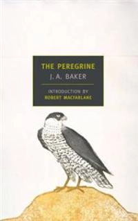 The peregrine; John Alec Baker; 2005