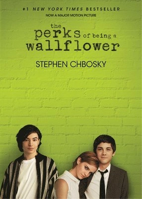 The perks of being a wallflower; Stephen Chbosky; 2012