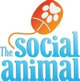 The social animal; Elliot Aronson; 1976