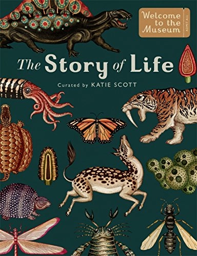 The story of life : evolution; Katie Scott; 2017